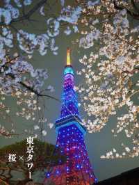2024年🌸開花・満開全国予想つき！「東京タワー×桜」