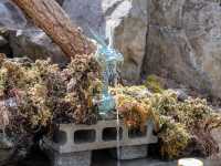 【山梨県】 「子宝」と「縁結び」のパワースポット:夫婦木神社 姫の宮