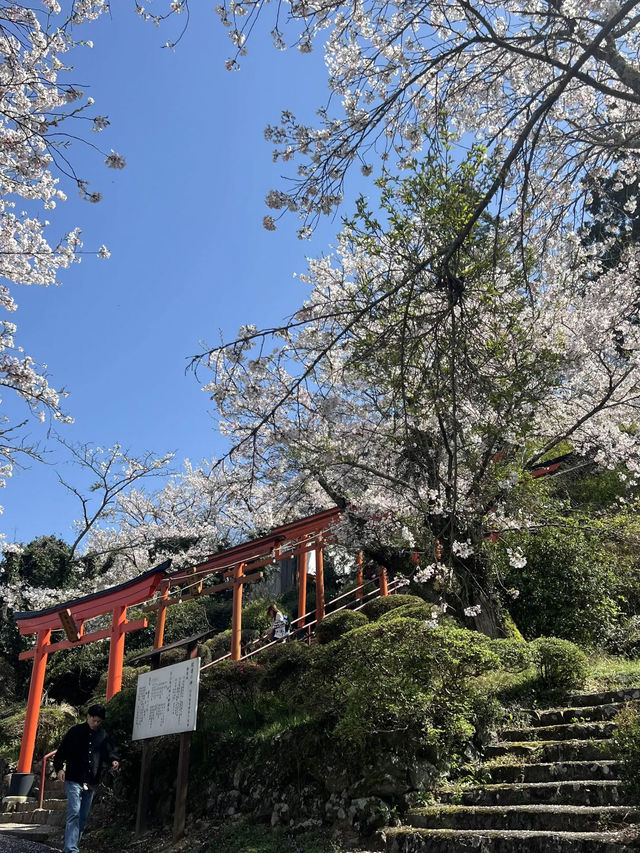 【うきは観光】桜の季節がオススメな山の上の絶景スポット