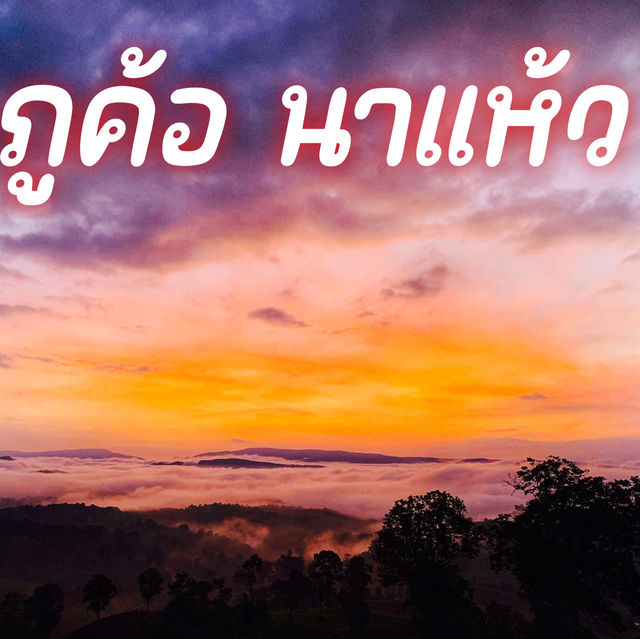 ภูค้อ นาแห้ว