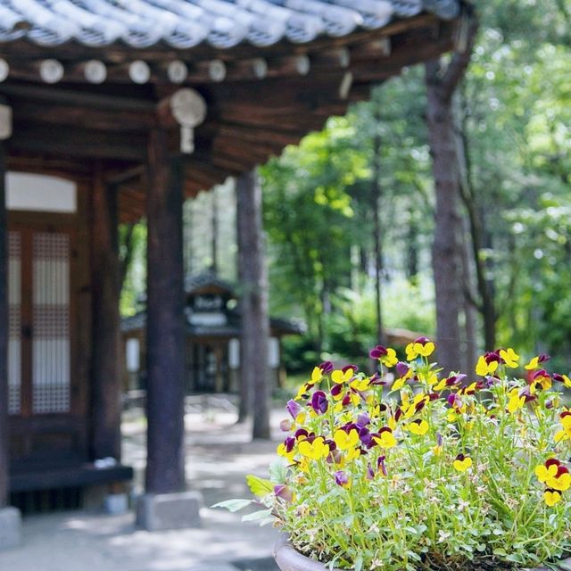 숨은 보석 남이섬 함께 가봐요! 🌳