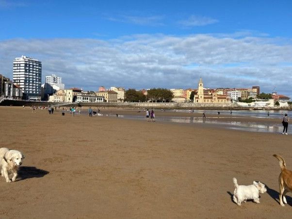 스페인 북부 여행 Playa de San Lorenzo