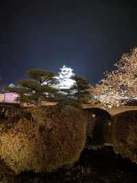 【2024年桜】姫路城夜桜会「千姫幻想曲輪」