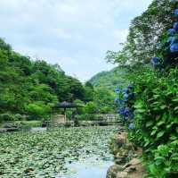 みのかも健康の森