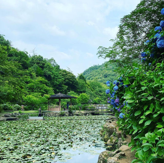 みのかも健康の森