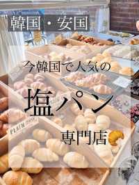 〖 韓国・安国〗今韓国で大人気の塩パン専門店🥐✨