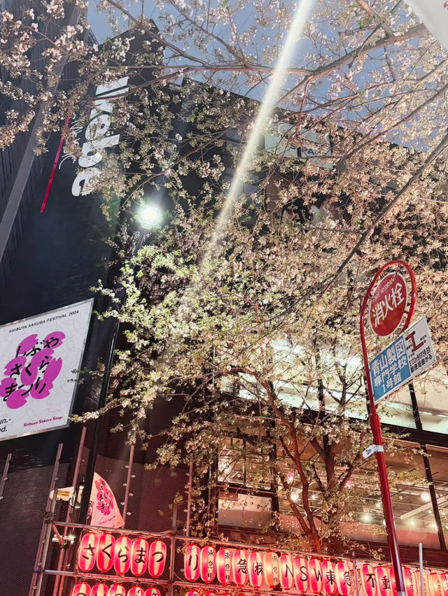 【東京】渋谷にエモい桜スポット