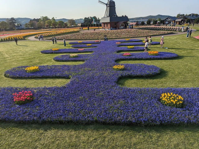 Kamiyubetsu Tulip Park