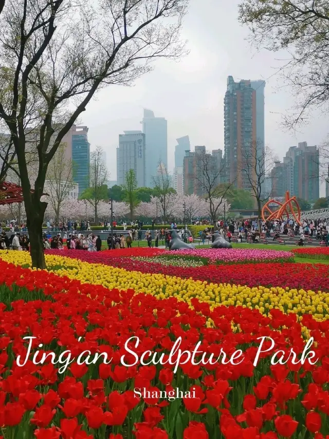 ชมซากุระและทิวลิปที่ Jing'an Sculpture Park