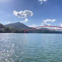 【隠岐島】本土からフェリーで2.5h 日本のクラビ⁉️