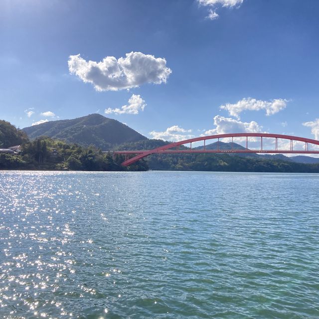 【隠岐島】本土からフェリーで2.5h 日本のクラビ⁉️