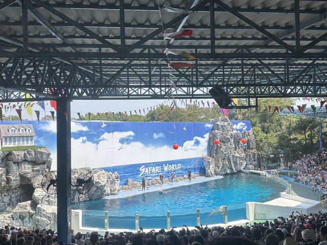 ชมโชว์ความสามารถของสัตว์ต่างๆ🐬