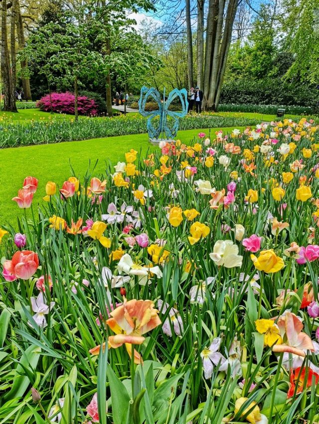 Lovely Spring Garden in Netherlands 