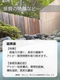 【大分/別府】行ってみて！真っ白美肌の湯！