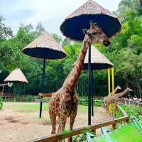 「東京江戶川區自然動物園：原始自然之美與動物保護的獨特景點」