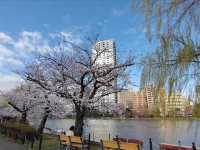 Pretty Ueno Park