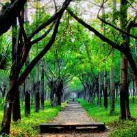 【臺北景點】維多花園：穿越時光的休憩場所