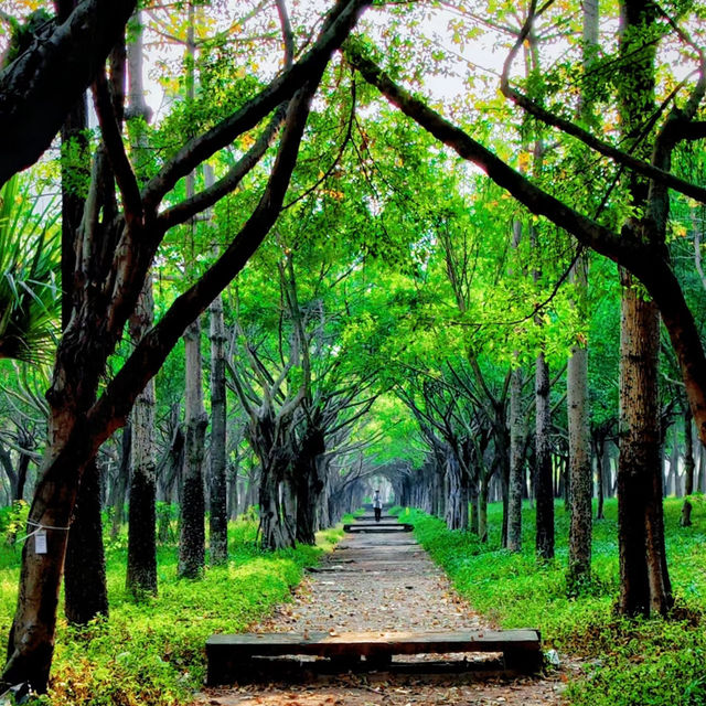 【臺北景點】維多花園：穿越時光的休憩場所