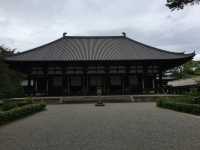 唐招提寺：感受奈良之靈古老寺廟的神秘魅力