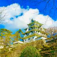 Gujo Hachiman Castle stands as a proud sentinel 🇯🇵