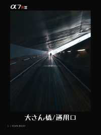 【雑誌風】横浜穴場写真スポット7選！