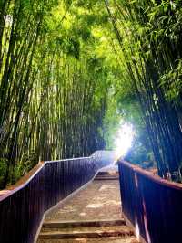 This is NOT in Japan or China. Guess Where?