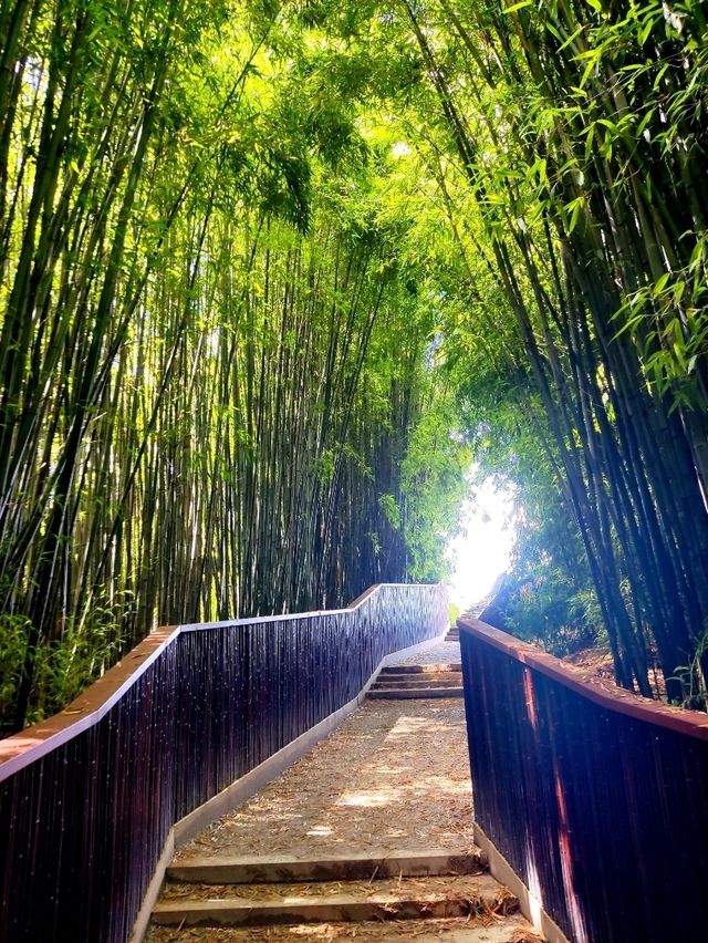 This is NOT in Japan or China. Guess Where?