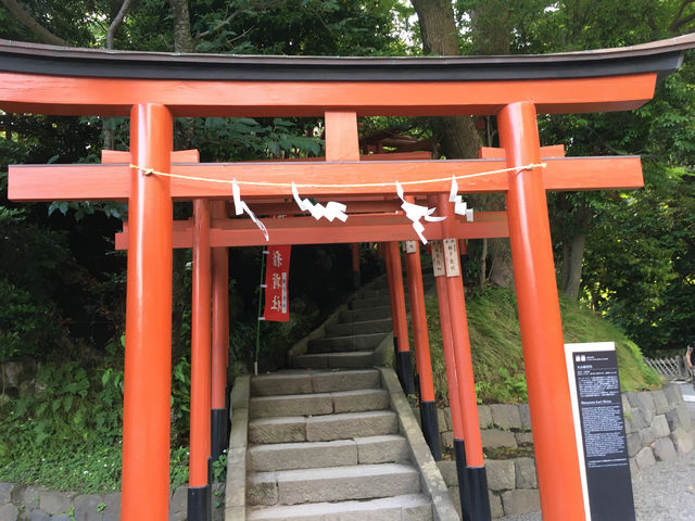鶴岡八幡宮的莊嚴與美麗：探索鎌倉的靈魂