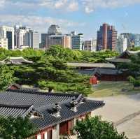 조선왕실의 별궁 창경궁 + 고궁&숲&연못 산책🖼