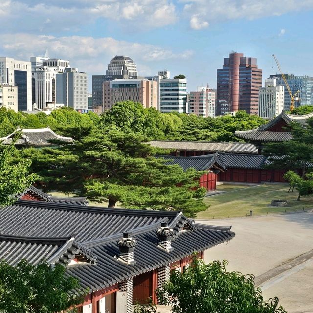 조선왕실의 별궁 창경궁 + 고궁&숲&연못 산책🖼