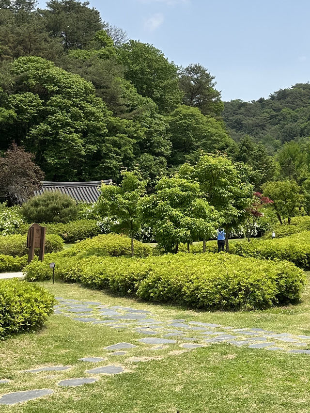생태숲에도 눈부신 여름이 찾아왔어요! 🌞강원도 홍천 피톤치드 가득한 여름 피크닉 여행지 추천