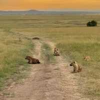 The incredible wild life of Masai Mara 