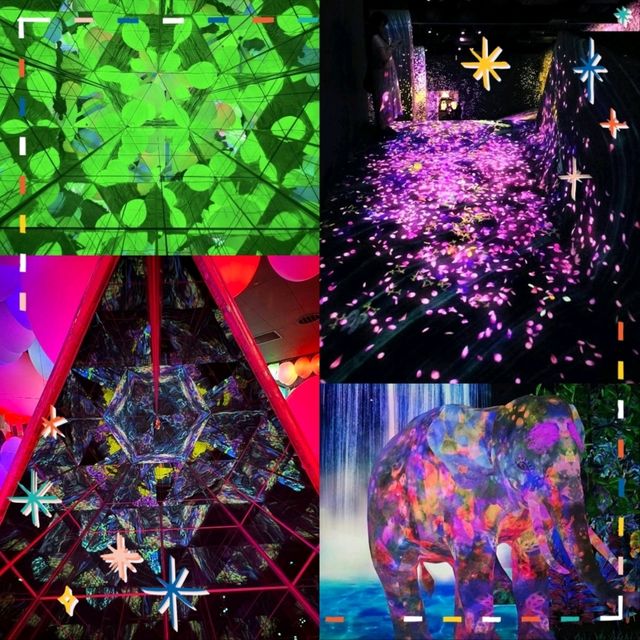【福岡景點】teamLab森林：夢幻光影，日本必去打卡點