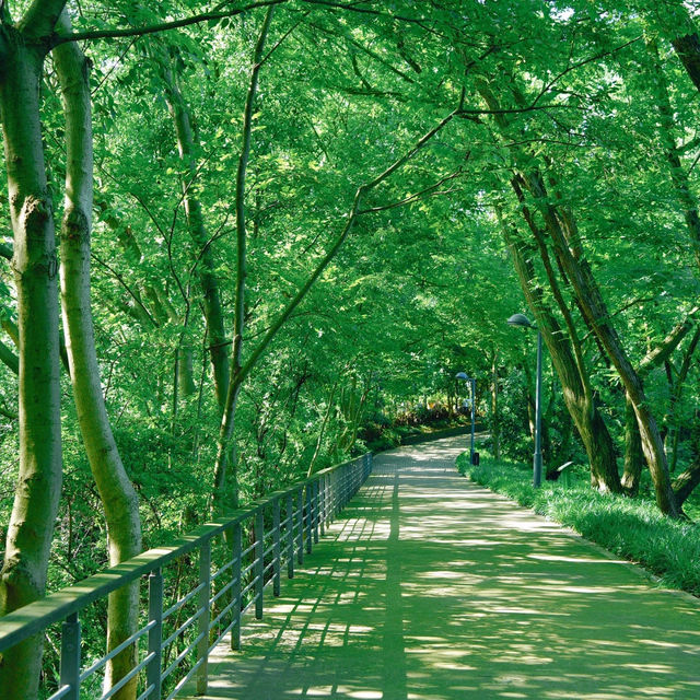 自然風光～壽山公園