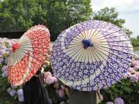國營讚岐滿濃公園賞花