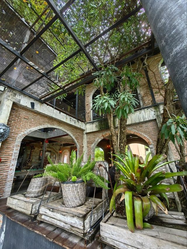 泰國北標府四面環山靚cafe