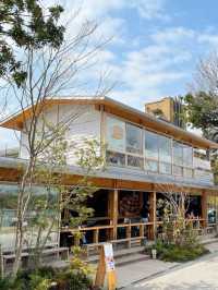 【福岡カフェ】福岡で東京で大人気のヒグマドーナツが食べられる！
