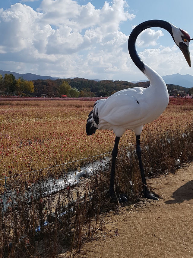 Goseokjeong Flower Garden 