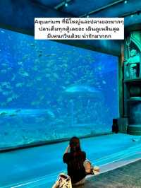 เที่ยวฟูก๊วก เวียดนามใต้ งบหมื่นห้าเหลือๆเลย