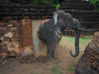 อุทยานประวัติศาสตร์กำแพงเพชร