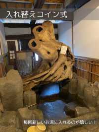 【大分/玖珠】超巨大！大木の下で入る温泉！