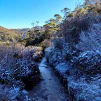 the best of Tassie