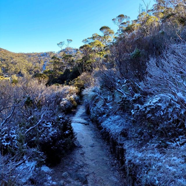 the best of Tassie