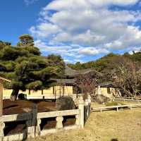〜京都府〜穴場スポット！京都を一望新撰組ゆかりの地