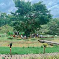 โอบบ์ Farm&Cafe 