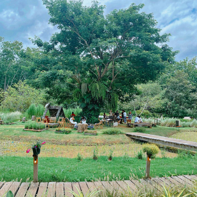 โอบบ์ Farm&Cafe 