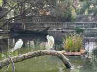 Perth Zoo