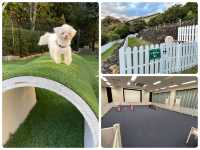 【静岡】伊豆の犬連れホテル「WAN's Resort 城ヶ崎海岸」