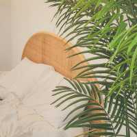 감성 가득 통영 독채 풀빌라 ‘그대에게 Dream’
