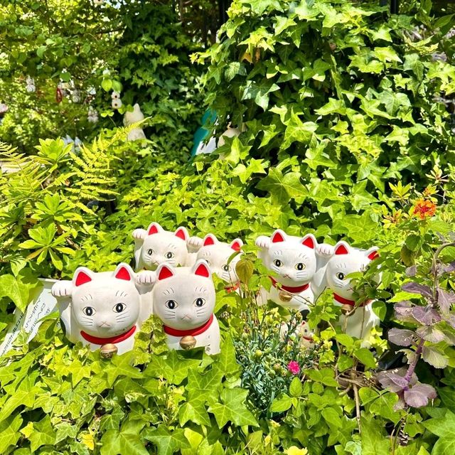 日本招財貓發源地 -不求財，求良緣！